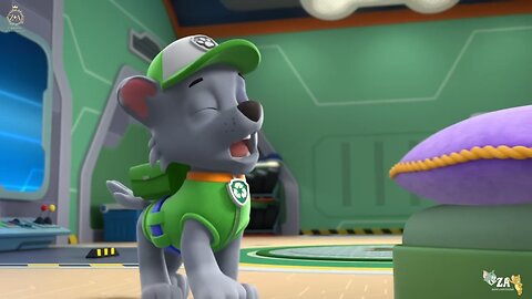 PAW Patrol Cartoons