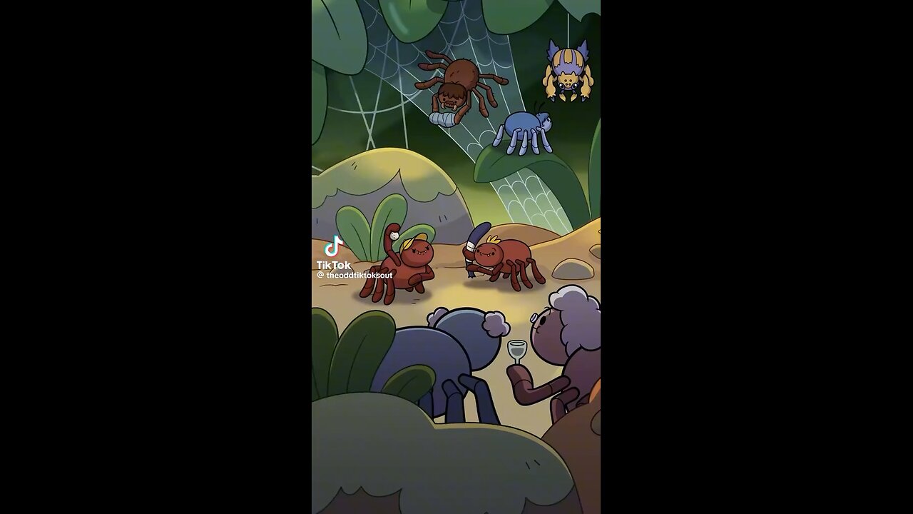 Spider soap opera
