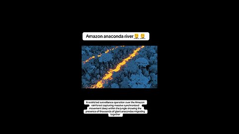 Amazon anaconda river