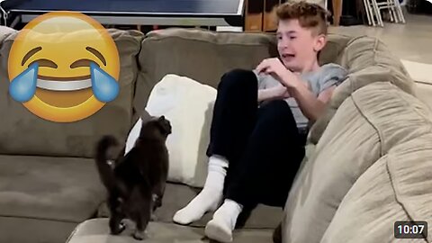 Cats Being JERKS! Savage Cats Attacking People Compilation || PETASTIC 🐾