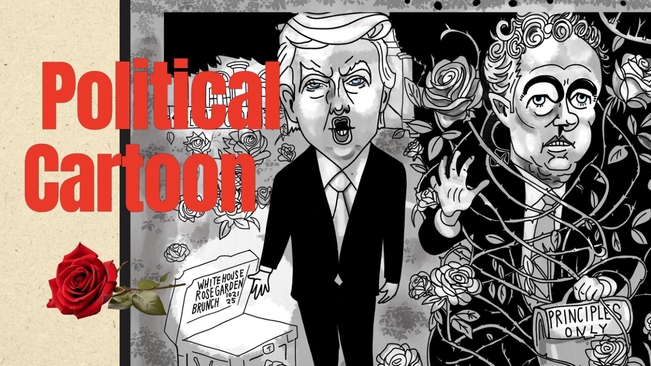 Political Cartoonist Freelancer