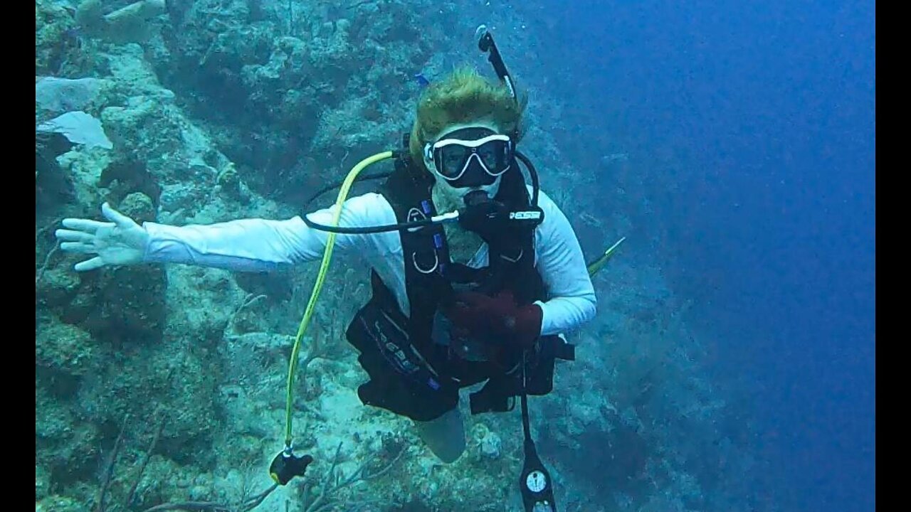Tracy's Grand Diving & Whale Adventure