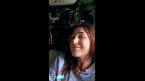 You Won't Believe What This Animal Did!