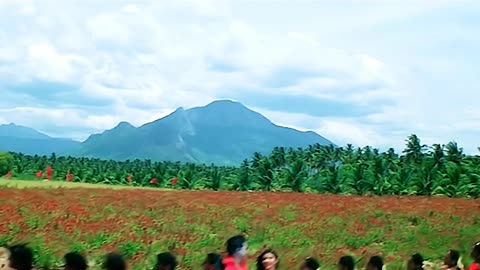 4k UHD songs 60fps Jabilli raavey (Telugu) full resolution Andala ramudu Sunil_