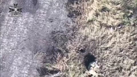 Minus the American pig-shaker with the landing party