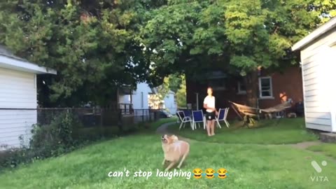 funny video
