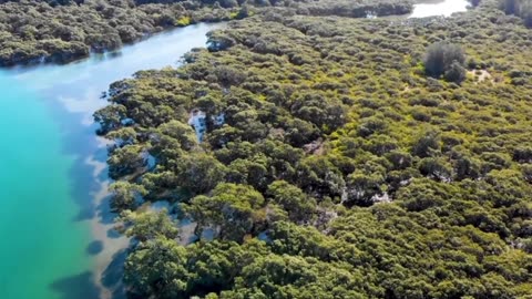 Cloudy Day Indie Classical Mix