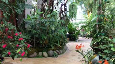Puerto Vallarta Botanical Garden (Jalisco, Mexico) 3