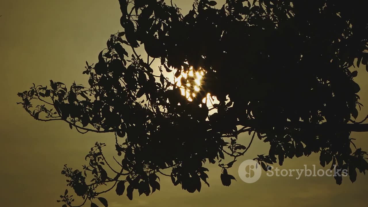 Sun and moon