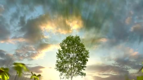 Medjugorje Prophecy 2024 Mirjana And The Virgin Mary Say Goodbye And Greet The World Forever
