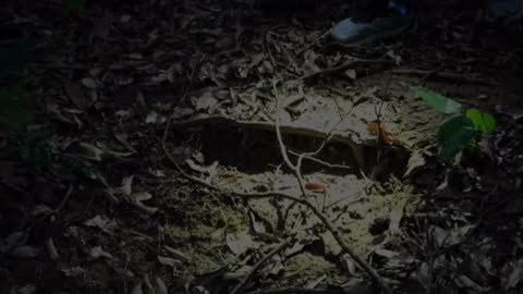 WK1: 1st Magnetic Dual-Beam Flashlight with Rotatable Head