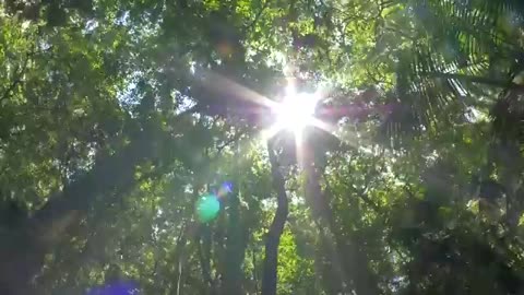 Earth 2.0? NASA Discovers a Perfect World for Life