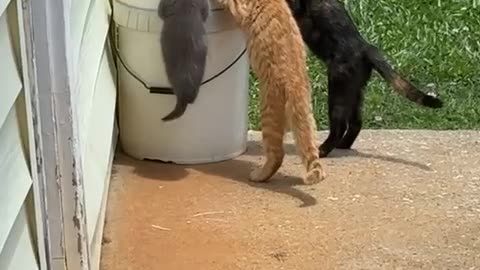 Spotted at the watering hole 😊