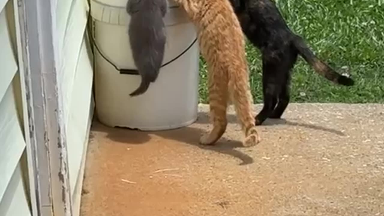 Spotted at the watering hole 😊