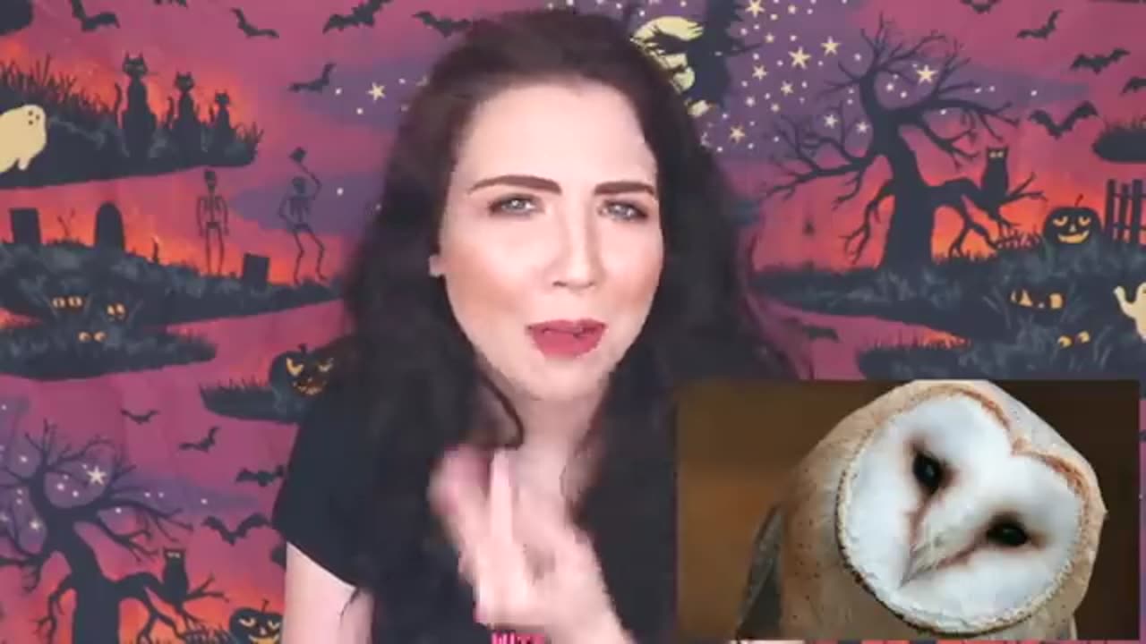 Why You Should NEVER Look At An Owl.mp4