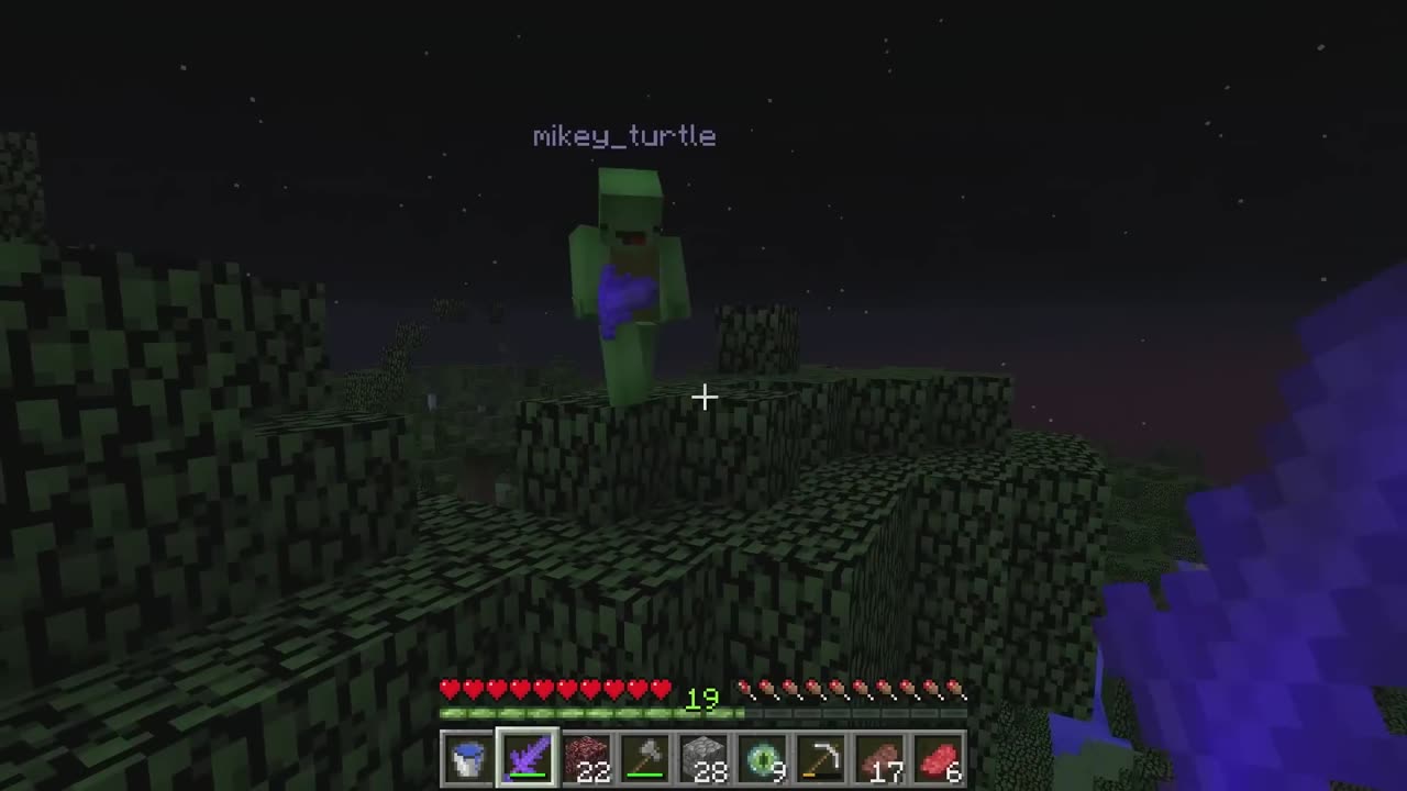 Minecraft, but I have a $1,000,000 Sword!