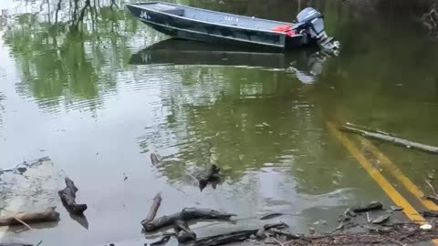 Major KY Flooding | Road Under Water!
