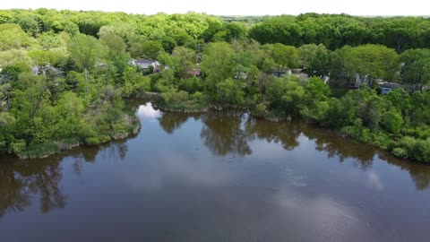 Neighborhood Pond in the Afternoon from a Drone