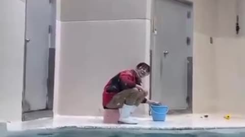 Swimming