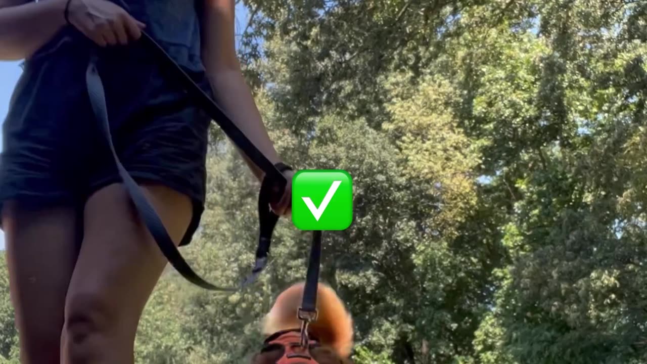 Try To not laugh Funny Video 2025