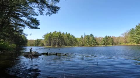 Great View