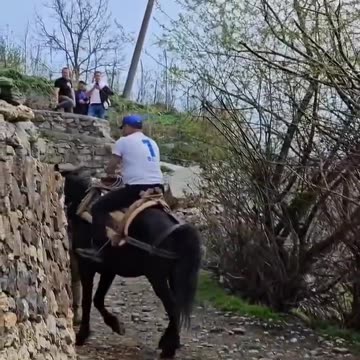 'Derë më derë si në kohën e Skënderbeut’/ Xhelal Mziu hipur mbi kal: Në kërkim të çdo vote...