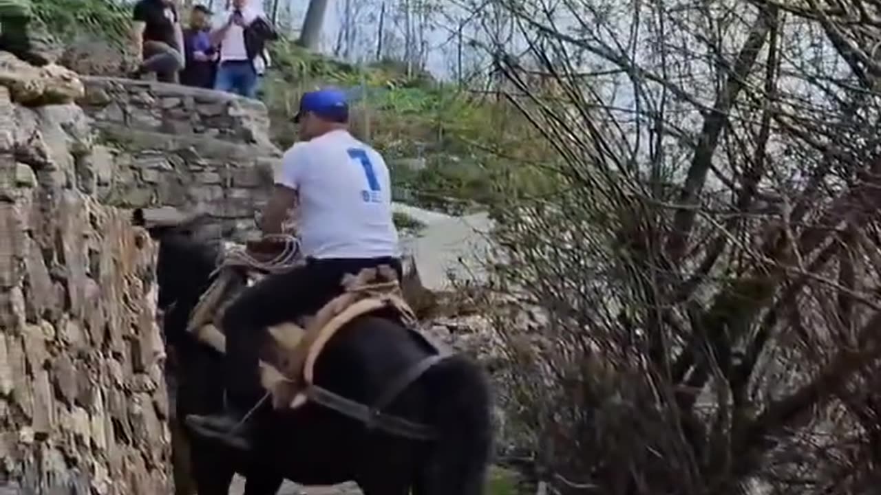 'Derë më derë si në kohën e Skënderbeut’/ Xhelal Mziu hipur mbi kal: Në kërkim të çdo vote...