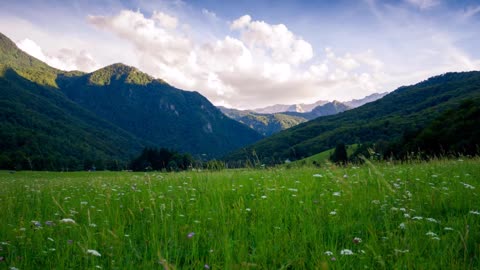 Relaxing Music for Stress Relief. Calm Music for Meditation, Deep Sleep, Relax, Healing Therapy, Spa