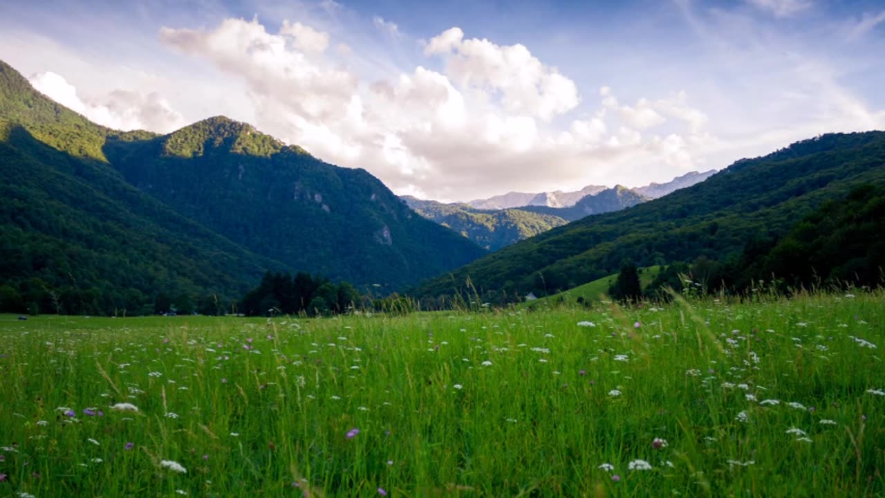 Relaxing Music for Stress Relief. Calm Music for Meditation, Deep Sleep, Relax, Healing Therapy, Spa