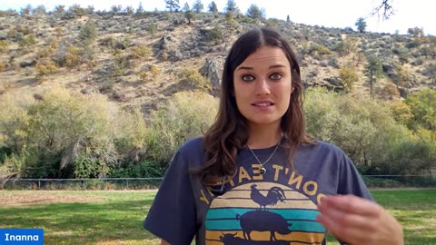 In Honor of the Sabbath, Poem and Prayer