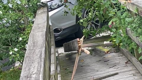 Car Drives Over Tree and Crashes Into Backyard