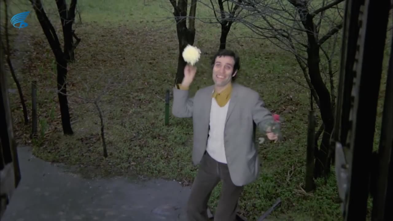 Şaşkın Damat