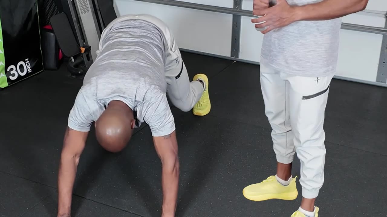 PANTHER PUSH UP