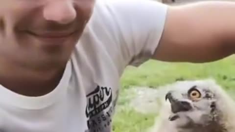 he has a pet owl