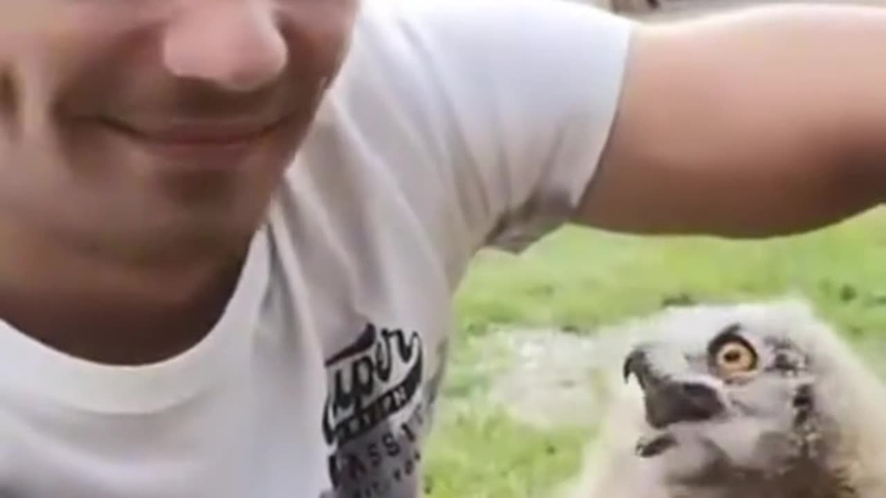he has a pet owl