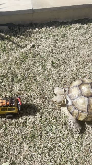 Can You Guess Which One Isn't RC