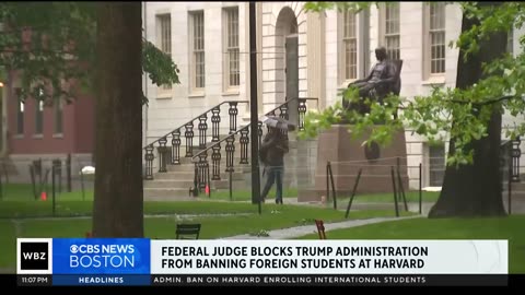 Harvard student says Trump administration causing “a lot of panic”