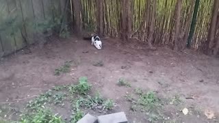 🤯👻 You Won't Believe This Haunting Moment! | FunFM