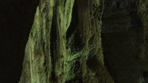 30秒でわかる！ネアンデルタール人の誕生