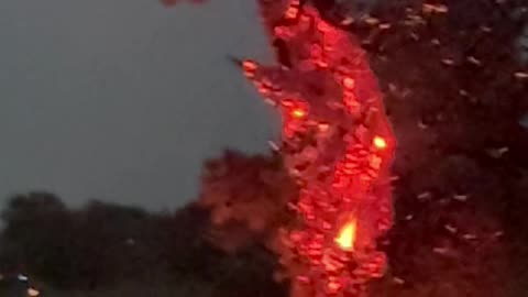Tree Combusts After Lightning Strike