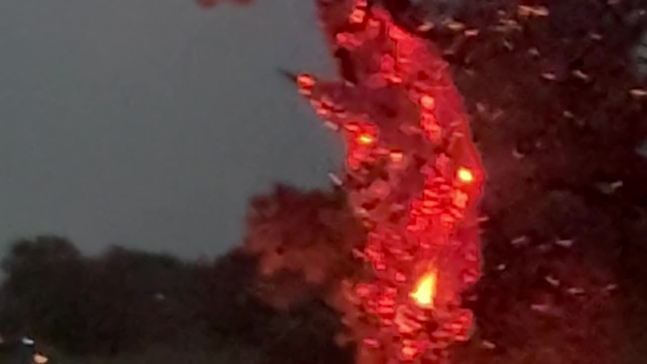 Tree Combusts After Lightning Strike