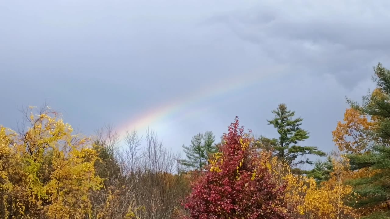 Rainbow