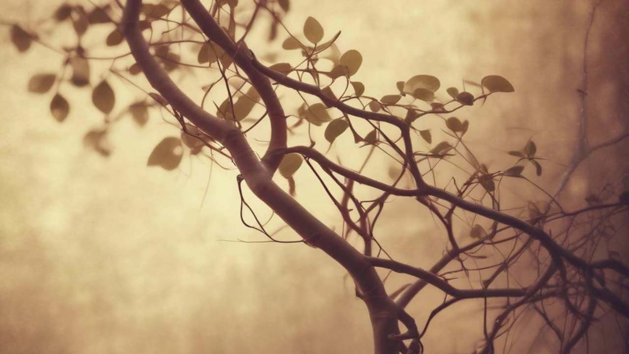 All I Need Is You V2