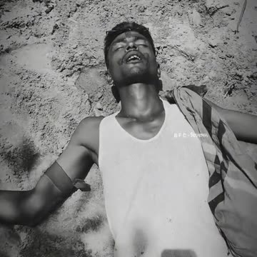 ফানি ভিডিও