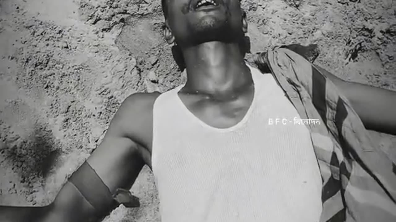 ফানি ভিডিও