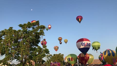 Color in the Sky: Great Reno Balloon Race Highlights