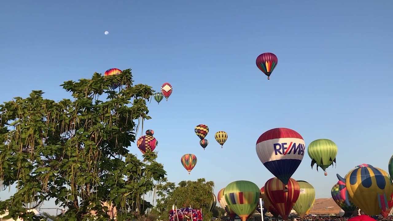 Color in the Sky: Great Reno Balloon Race Highlights