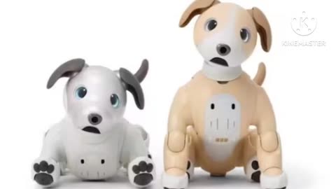 "Aibo: A Smart and Loyal Robotic Dog That Will Surprise You!"