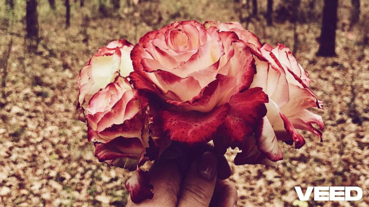 El Vendedor de Sueños