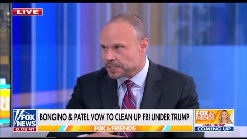 Bongino update on Epstein